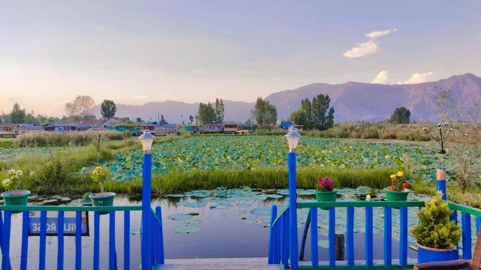 Houseboat young wild Rose Srinagar  Bagian luar foto
